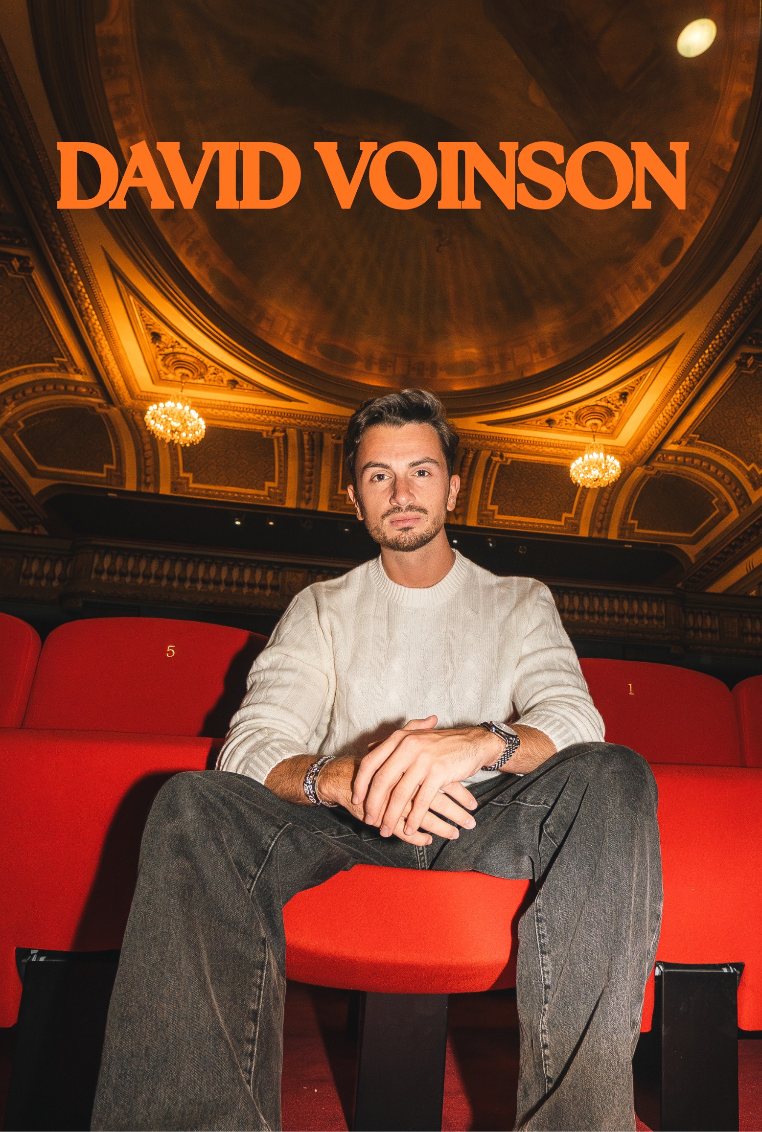 DAVID VOINSON 
